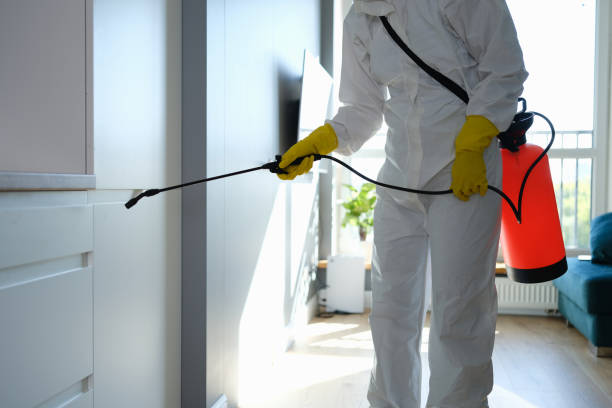 Best Emergency Mold Removal  in Monroe North, WA