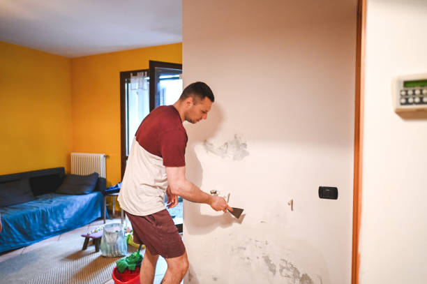 Certified Mold Removal in Monroe North, WA
